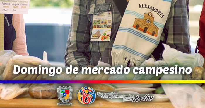 Domingo de mercado campesino